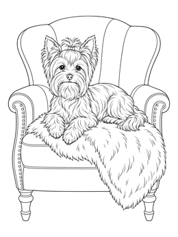 Free printable Yorkshire Terrier On Armchair coloring page