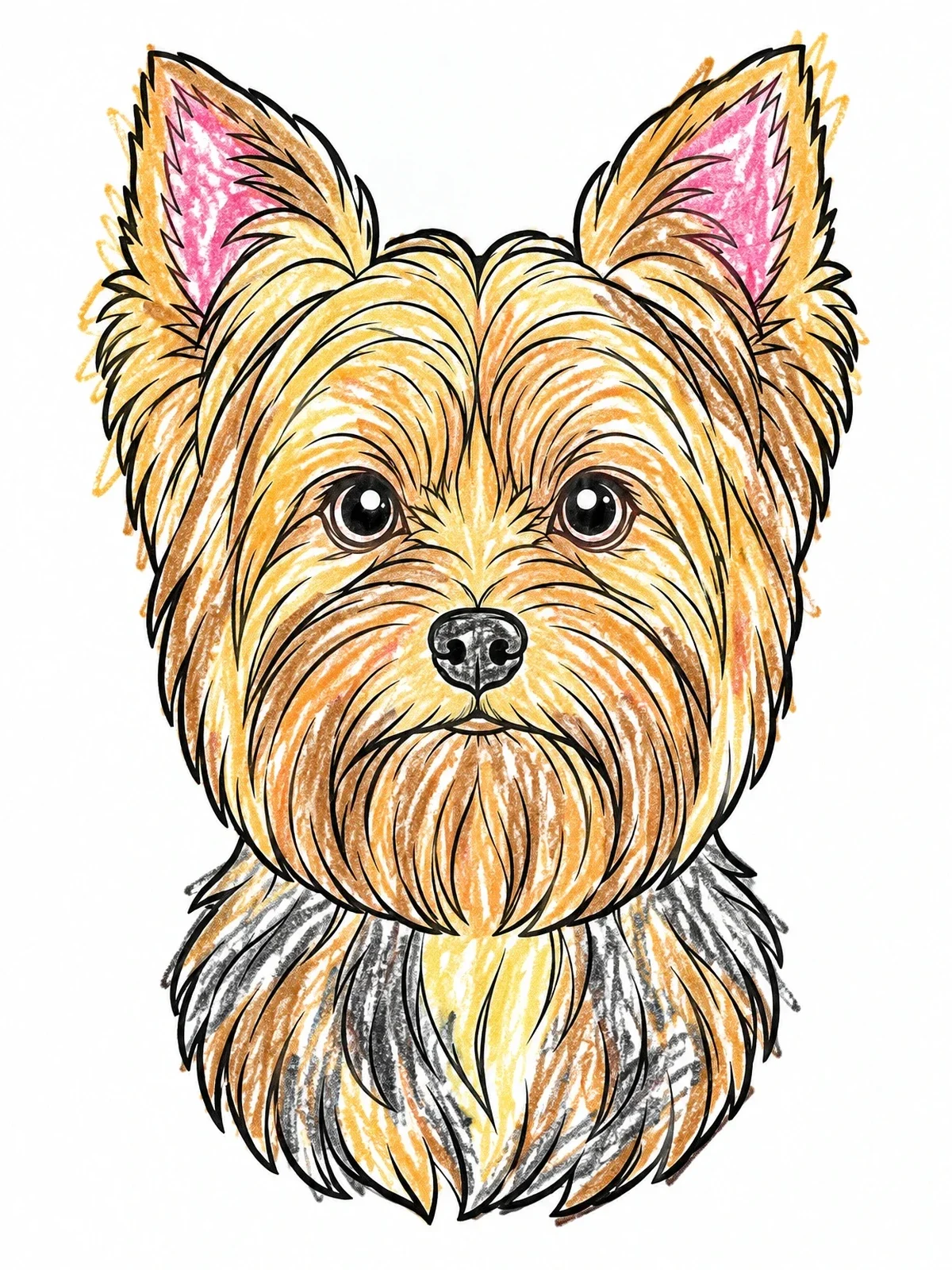 Colored example of the Yorkshire Terrier Head Portrait coloring page
