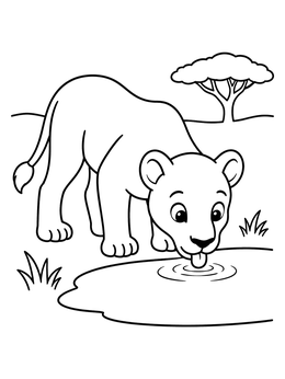 Free printable Young Lioness Drinking Water coloring page
