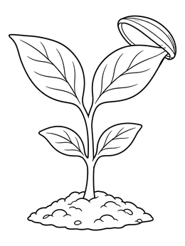 A young sprout coloring page balancing an empty seed shell on one leaf tip.