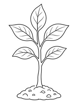 A simple tree coloring page showing a young sapling sprouting from a small mound of soil.
