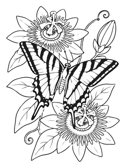 A detailed tennessee coloring page featuring a zebra swallowtail butterfly resting on blooming passion flowers.