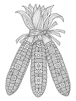 Tied flint corn cobs in a detailed zentangle thanksgiving coloring page for adults.