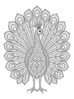 An ornate peacock fan on this detailed zentangle coloring page.