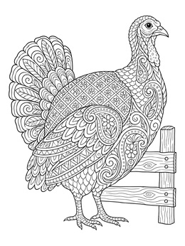 Free printable Intricate Turkey Hen By Wooden Fence coloring page