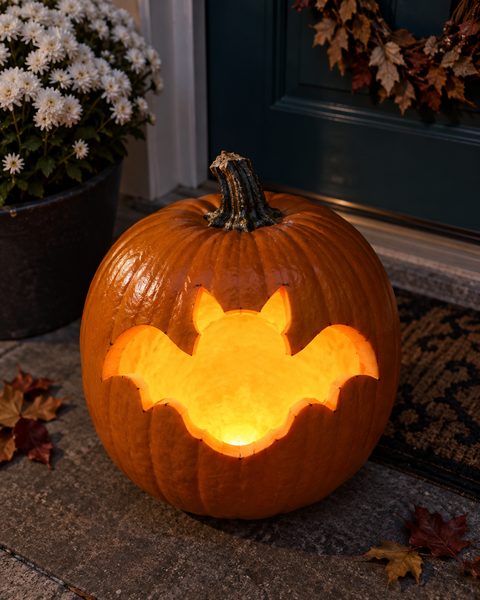 Little Flying Baby Bat carved pumpkin