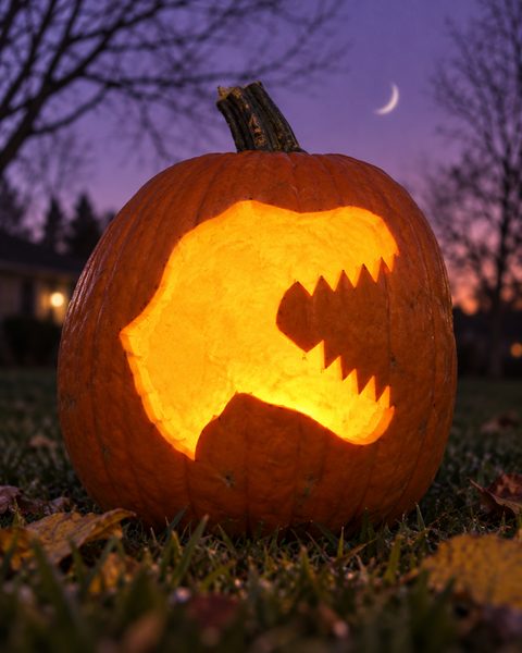 Roaring Rex Head carved pumpkin