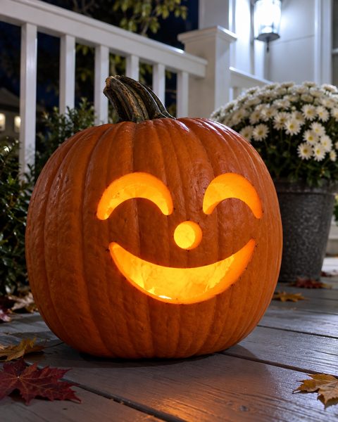 Happy Toothless Smile carved pumpkin
