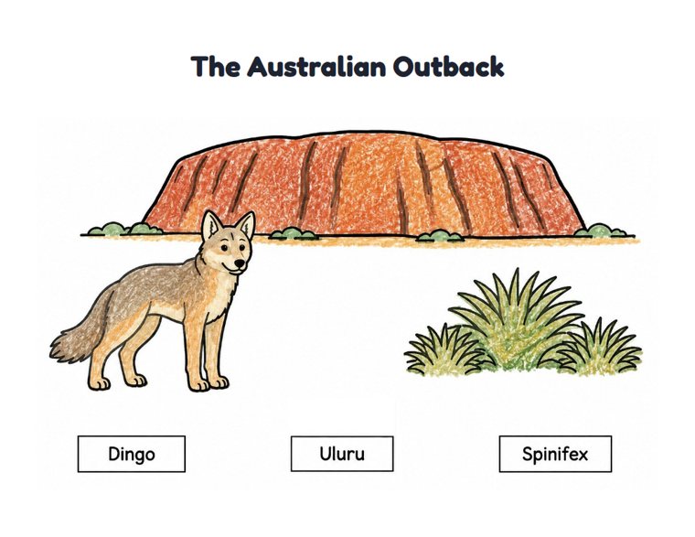 The Australian Outback worksheet (Easy, Pre-K–K)