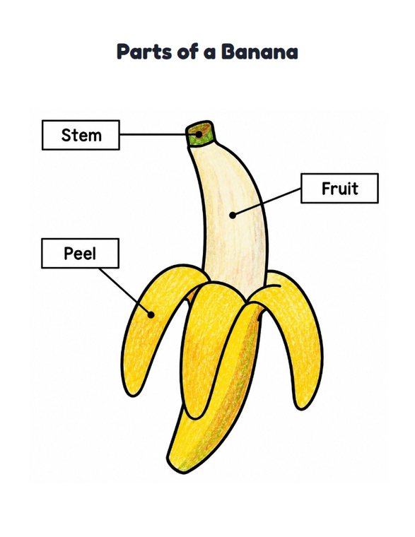 Parts of a Banana worksheet (Easy, Pre-K–K)