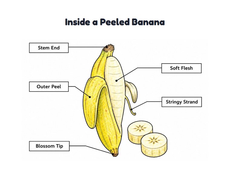 Inside a Peeled Banana worksheet (Medium, Grades 1–2)