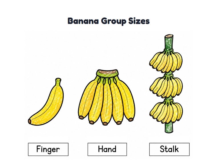Banana Group Sizes worksheet (Easy, Pre-K–K)