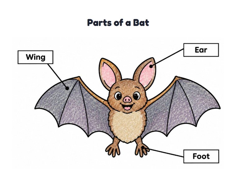 Parts of a Bat worksheet (Easy, Pre-K–K)