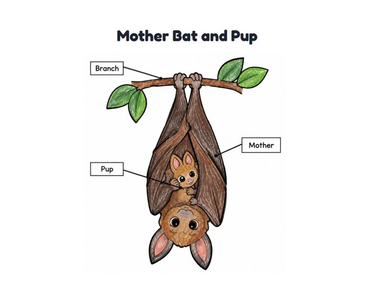 Mother Bat and Pup worksheet (Easy, Pre-K–K)