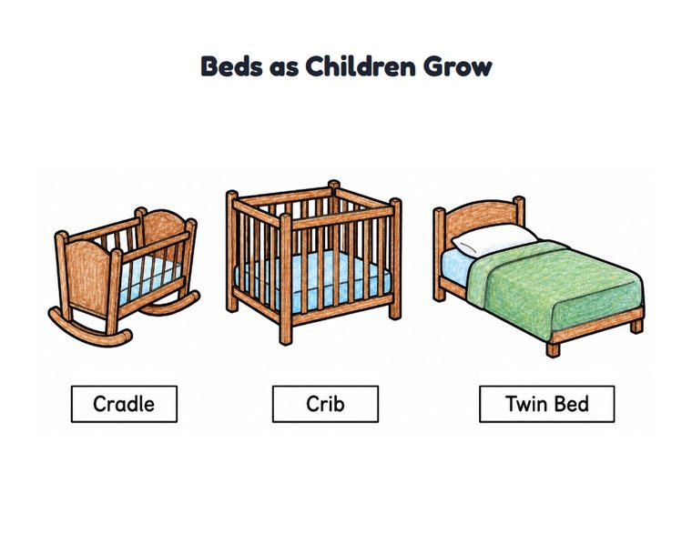 Beds as Children Grow worksheet (Easy, Pre-K–K)