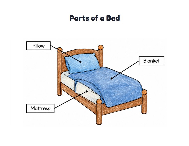 Parts of a Bed worksheet (Easy, Pre-K–K)