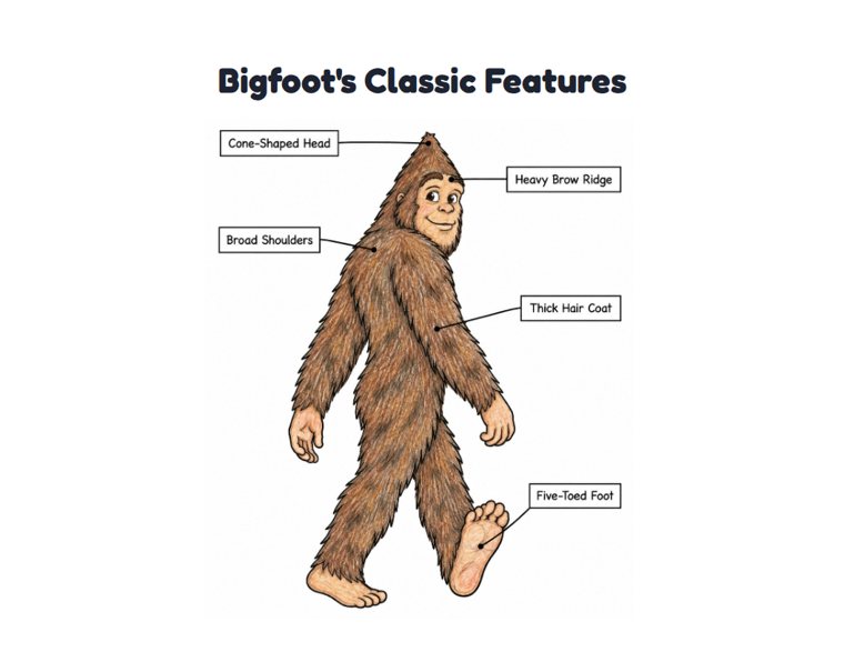 Bigfoot's Classic Features worksheet (Medium, Grades 1–2)