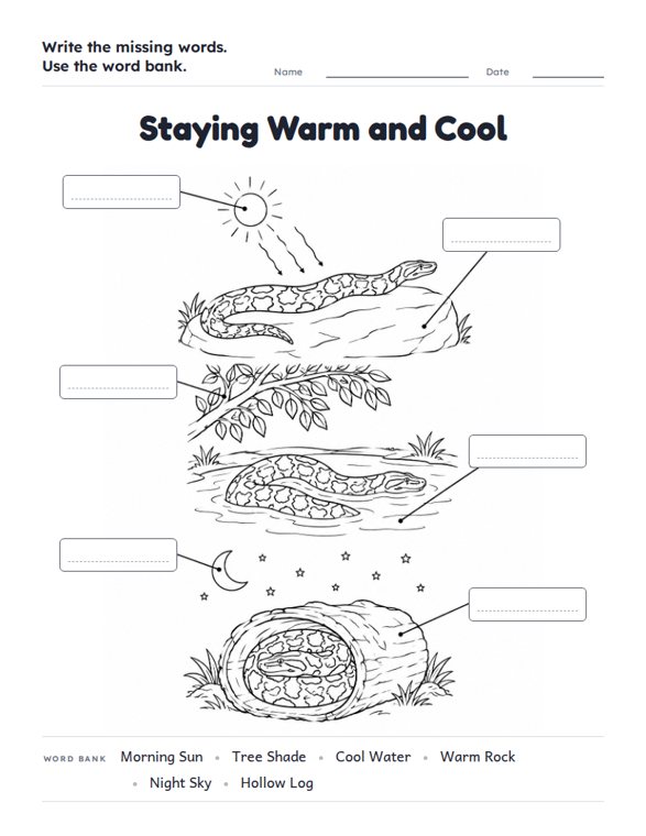 Staying Warm and Cool worksheet (Hard, Grades 3–4)