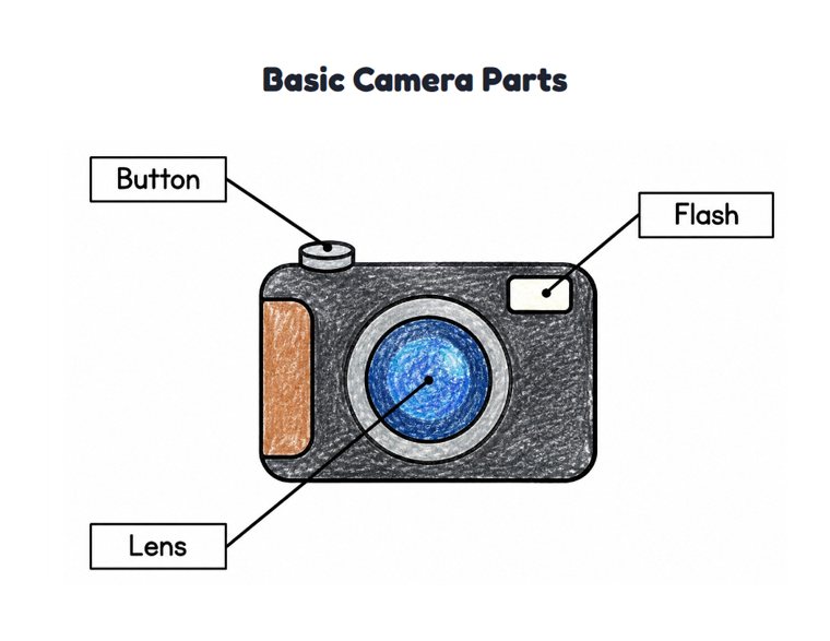 Basic Camera Parts worksheet (Easy, Pre-K–K)