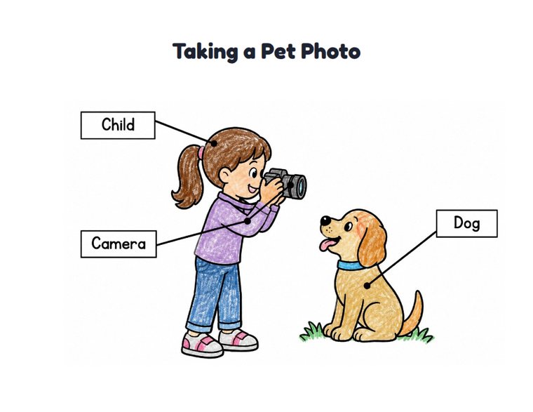 Taking a Pet Photo worksheet (Easy, Pre-K–K)