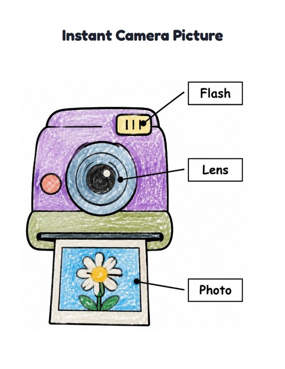 Instant Camera Picture worksheet (Easy, Pre-K–K)
