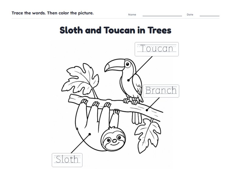 Sloth and Toucan in Trees worksheet (Easy, Pre-K–K)