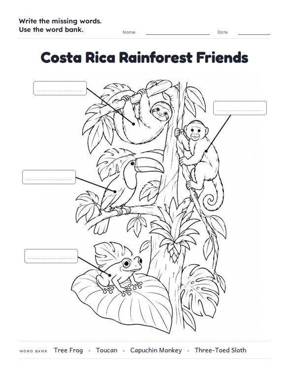 Costa Rica Rainforest Friends worksheet (Medium, Grades 1–2)