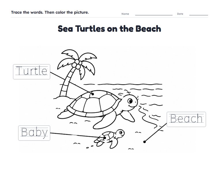 Sea Turtles on the Beach worksheet (Easy, Pre-K–K)