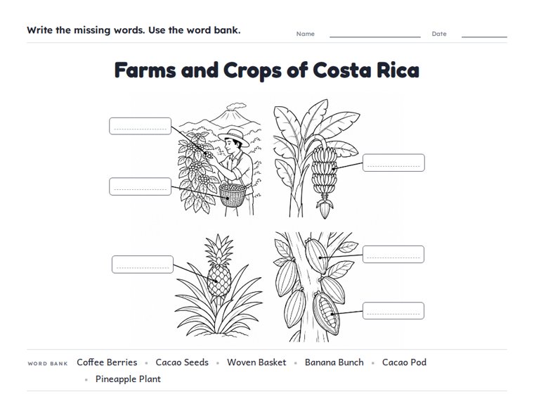 Farms and Crops of Costa Rica worksheet (Hard, Grades 3–4)