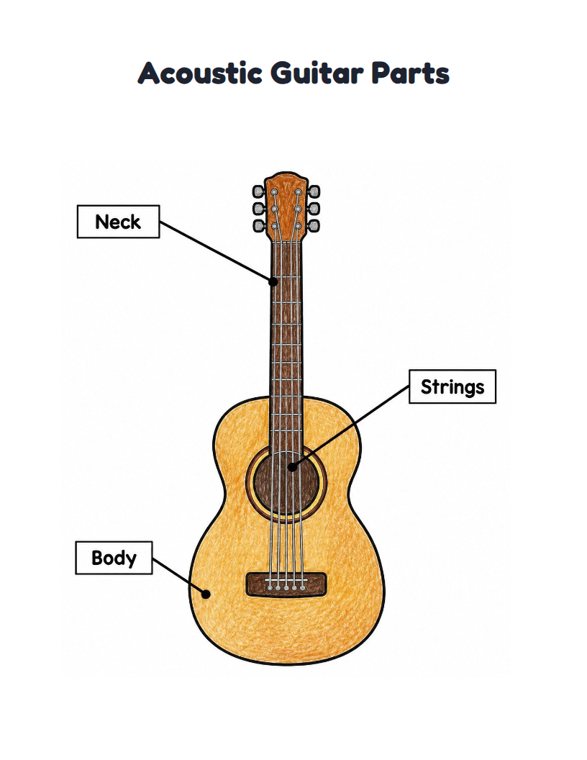 Acoustic Guitar Parts worksheet (Easy, Pre-K–K)