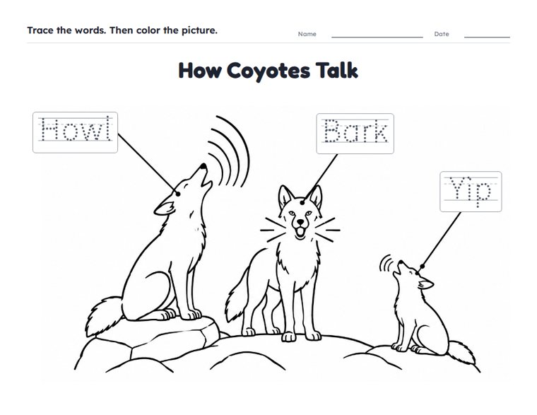 How Coyotes Talk worksheet (Easy, Pre-K–K)