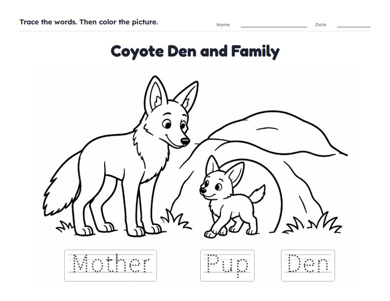 Coyote Den and Family worksheet (Easy, Pre-K–K)
