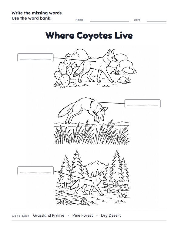 Where Coyotes Live worksheet (Medium, Grades 1–2)