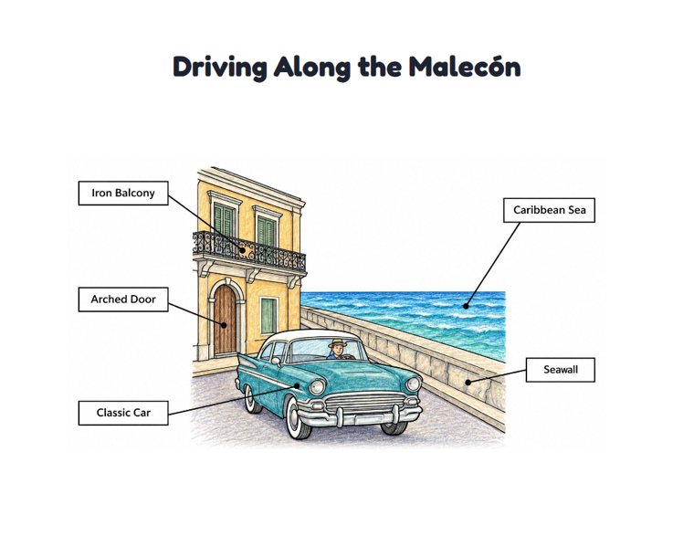 Driving Along the Malecón worksheet (Medium, Grades 1–2)