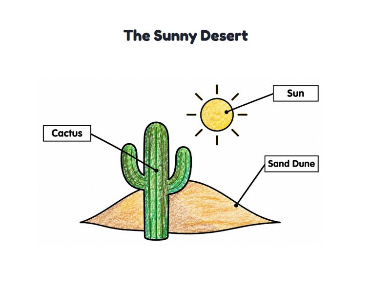 The Sunny Desert worksheet (Easy, Pre-K–K)