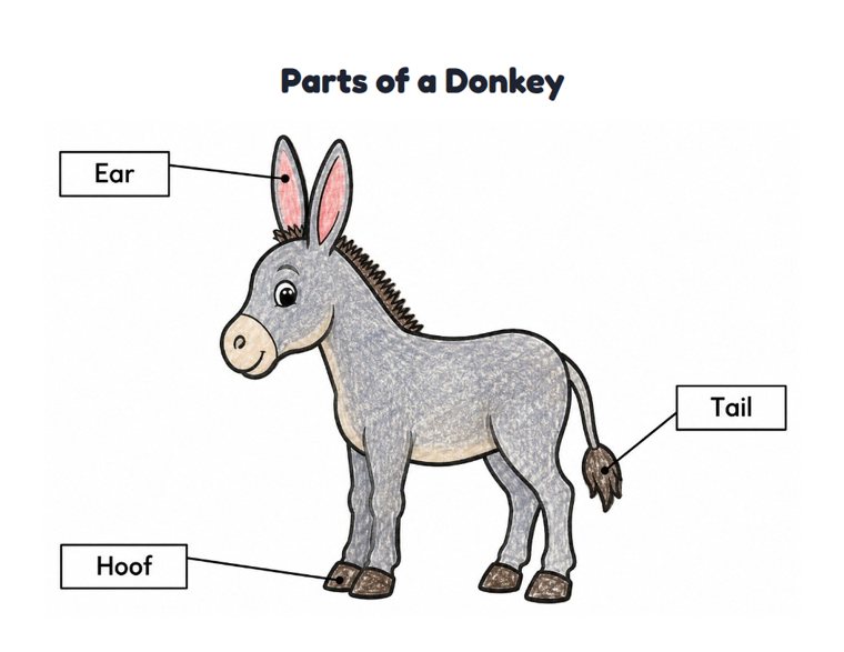 Parts of a Donkey worksheet (Easy, Pre-K–K)
