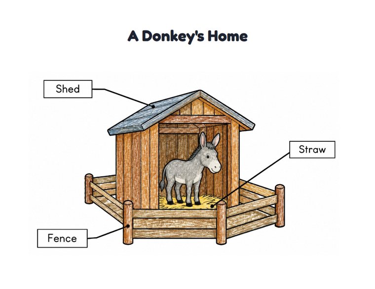 A Donkey's Home worksheet (Easy, Pre-K–K)