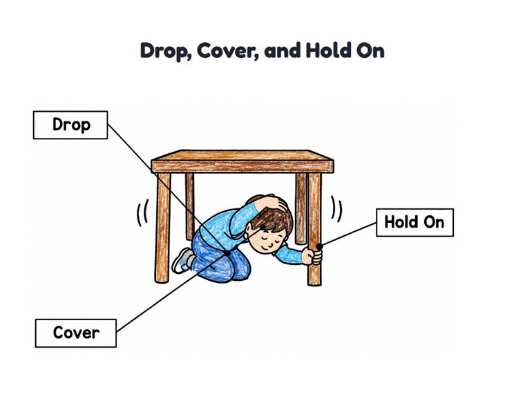 Drop, Cover, and Hold On worksheet (Easy, Pre-K–K)