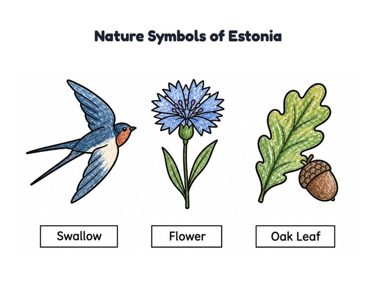 Nature Symbols of Estonia worksheet (Easy, Pre-K–K)