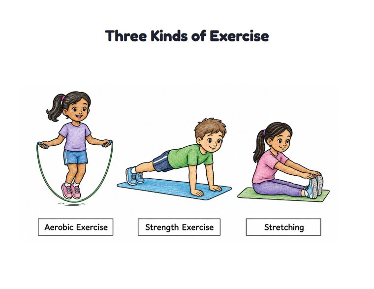 Three Kinds of Exercise worksheet (Medium, Grades 1–2)