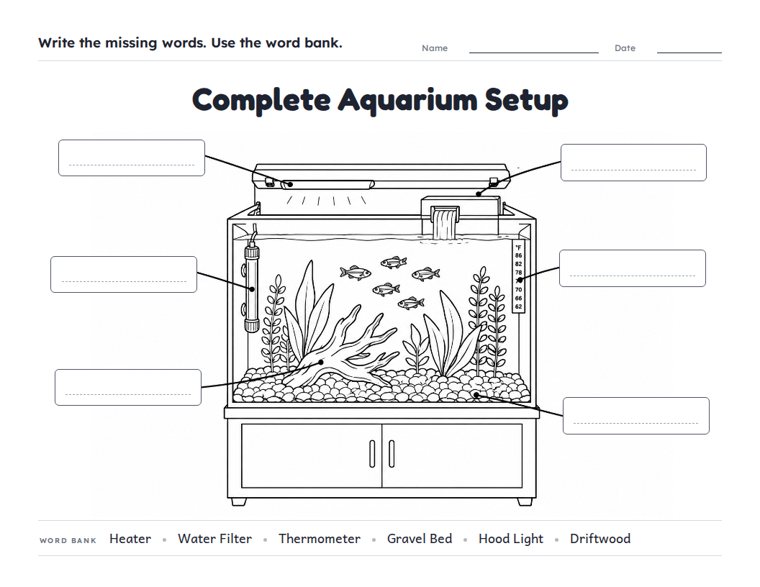 Complete Aquarium Setup worksheet (Hard, Grades 3–4)