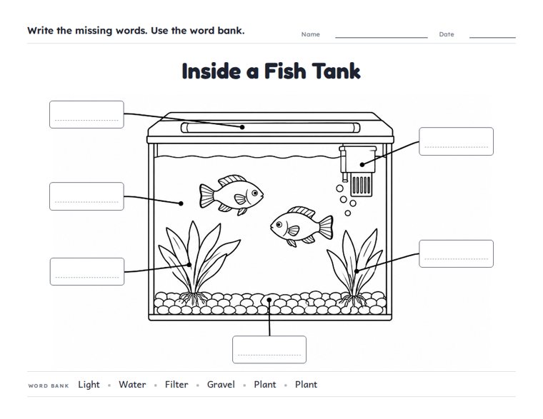 Inside a Fish Tank worksheet (Medium, Grades 1–2)
