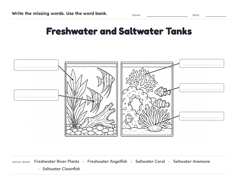 Freshwater and Saltwater Tanks worksheet (Medium, Grades 1–2)