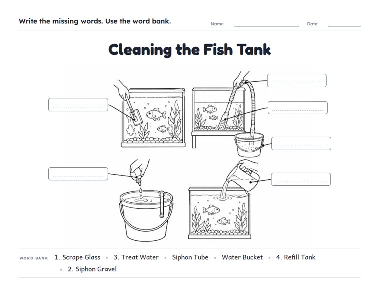 Cleaning the Fish Tank worksheet (Hard, Grades 3–4)