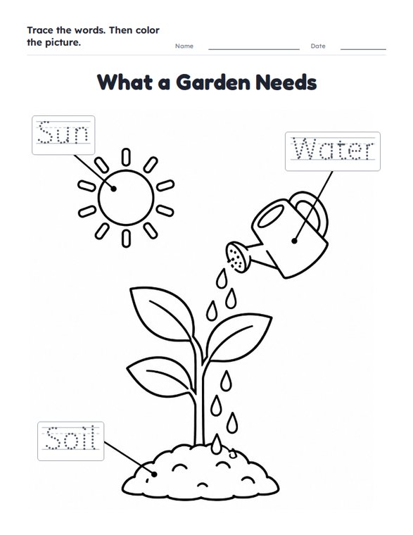 What a Garden Needs worksheet (Easy, Pre-K–K)