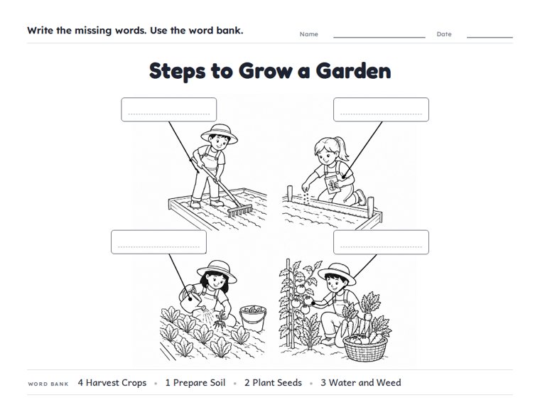 Steps to Grow a Garden worksheet (Hard, Grades 3–4)