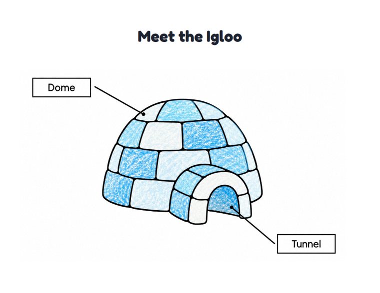 Meet the Igloo worksheet (Easy, Pre-K–K)