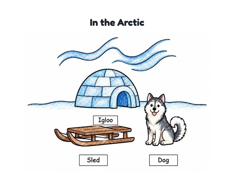 In the Arctic worksheet (Easy, Pre-K–K)