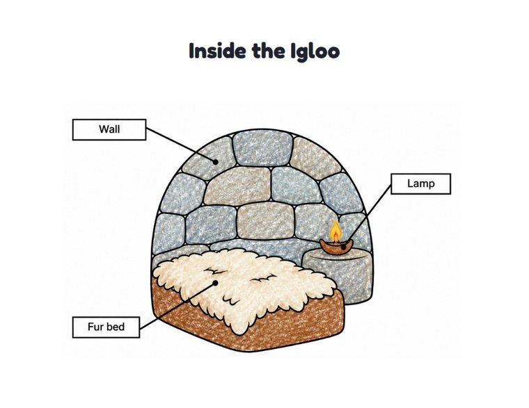 Inside the Igloo worksheet (Easy, Pre-K–K)