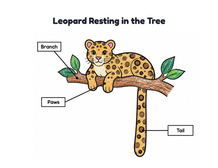 Leopard Resting in the Tree worksheet (Easy, Pre-K–K)